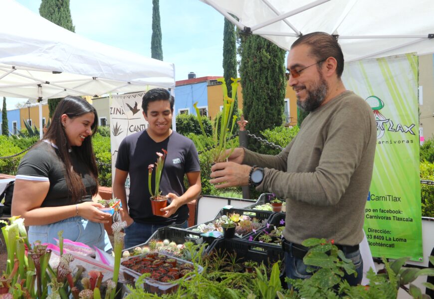 Segundo Festival de las Suculentas en Tlaxcala ofrece cultura y ciencia