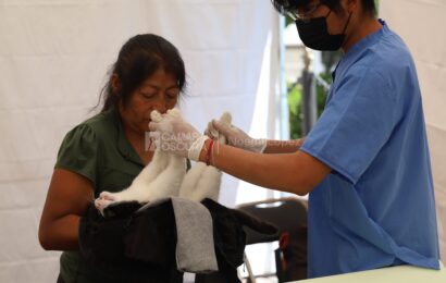 Jornada de esterilización canina y felina llega a comunidades de Tlaxcala