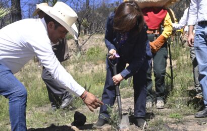 Inicia reforestación en Atltzayanca