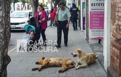 Necesario un liderazgo técnico y ciudadano en el CBA: OCPA