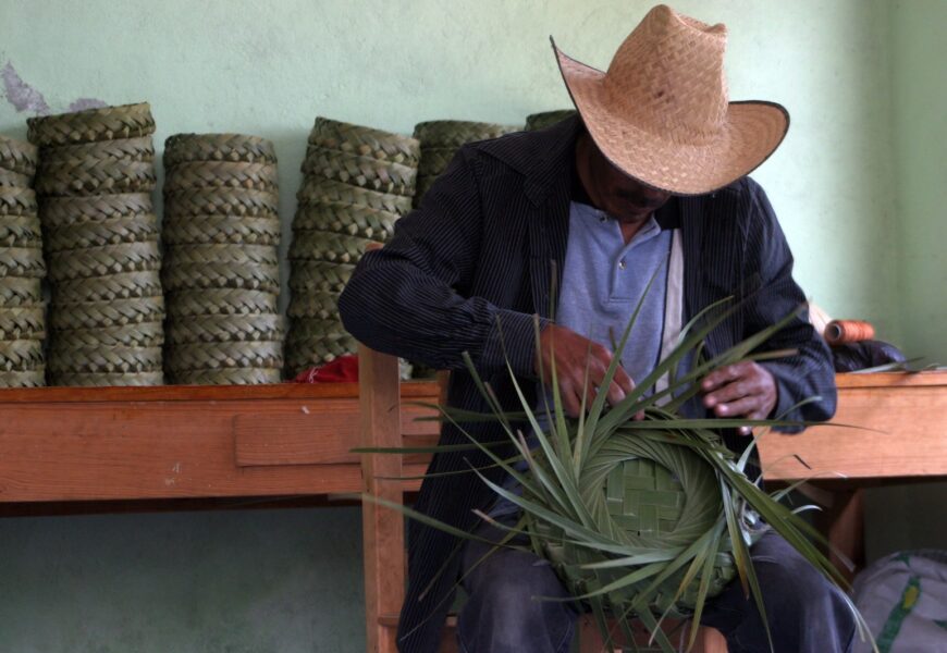 CAT invita al Concurso Estatal de Fibras Vegetales 2025