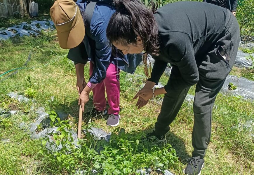 Huertos Familiares IMM Tlaxcala inicia