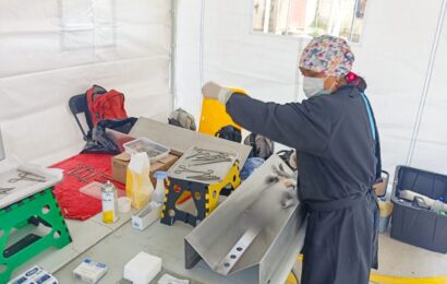 Jornada de esterilización gratuita Tlaxcala promueve control de población animal
