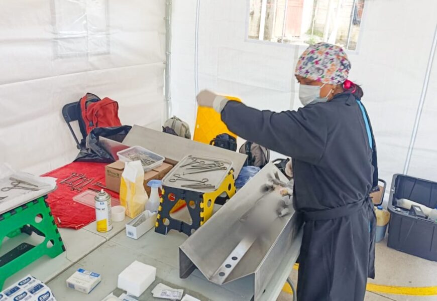 Jornada de esterilización gratuita Tlaxcala promueve control de población animal