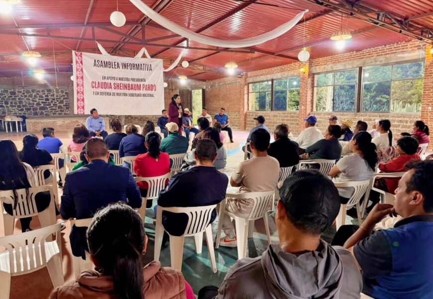 Derechos sociales en México, logro de la 4T:Ana Lilia Rivera