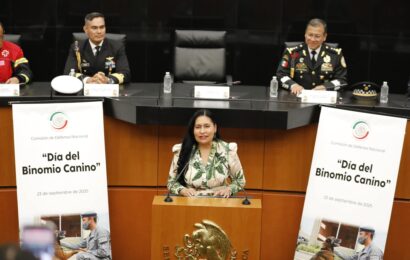 Binomio canino en México es conmemorado en el Senado de la Republica