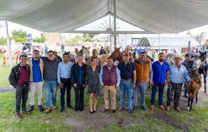 Tenencia responsable de animales en Apizaco fortalece la salud equina