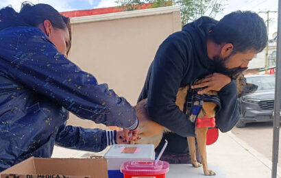 Jornada sabatina de vacunación antirrábica en Tlaxcala