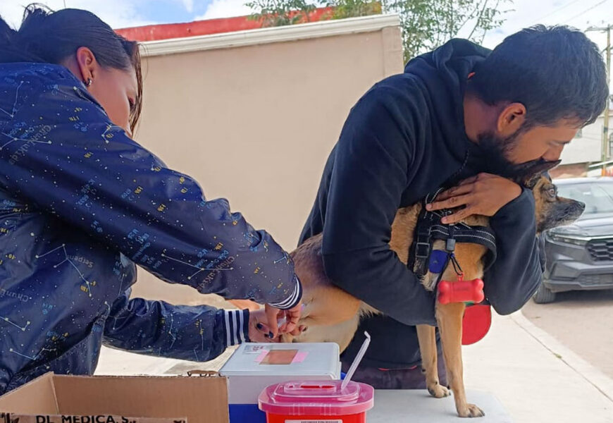 Jornada sabatina de vacunación antirrábica en Tlaxcala