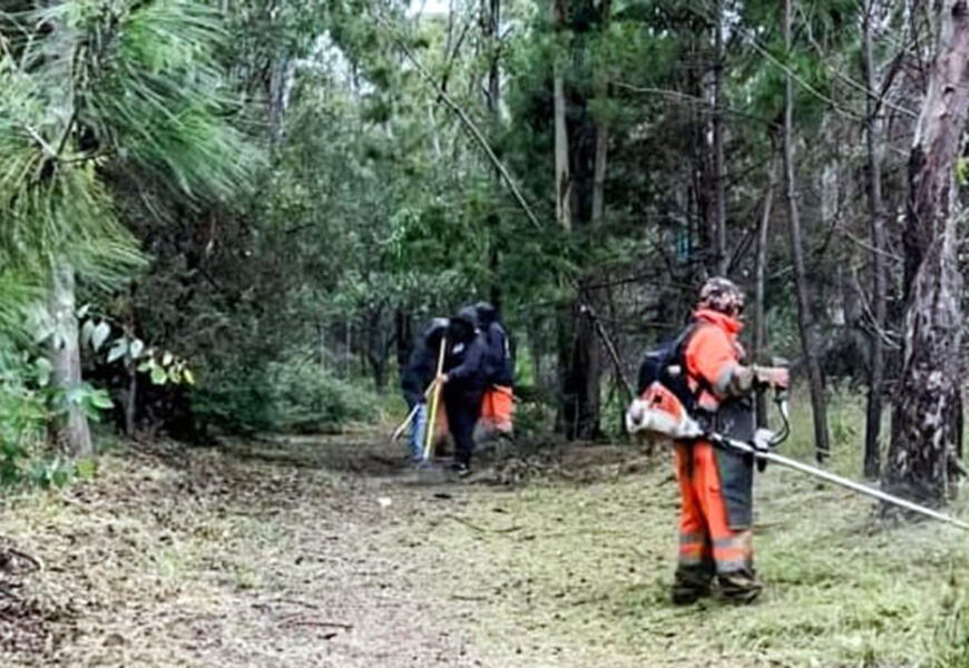 Rehabilitación de La Ocotera devuelve espacio verde a Tlaxcala
