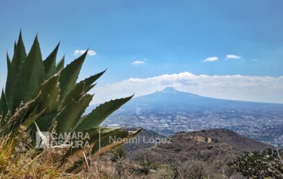 Celebran Aniversario del Parque Nacional La Malinche