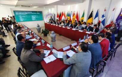 Foro Regional de Consulta T-MEC en Tlaxcala