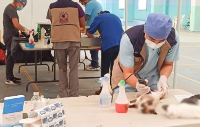 Concluye campaña de esterilización en Tlaxcala
