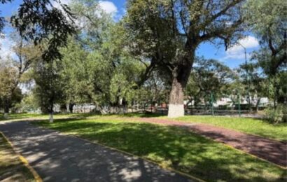 Transformación del Parque de la Juventud