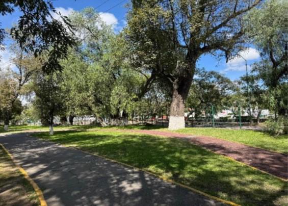 Transformación del Parque de la Juventud