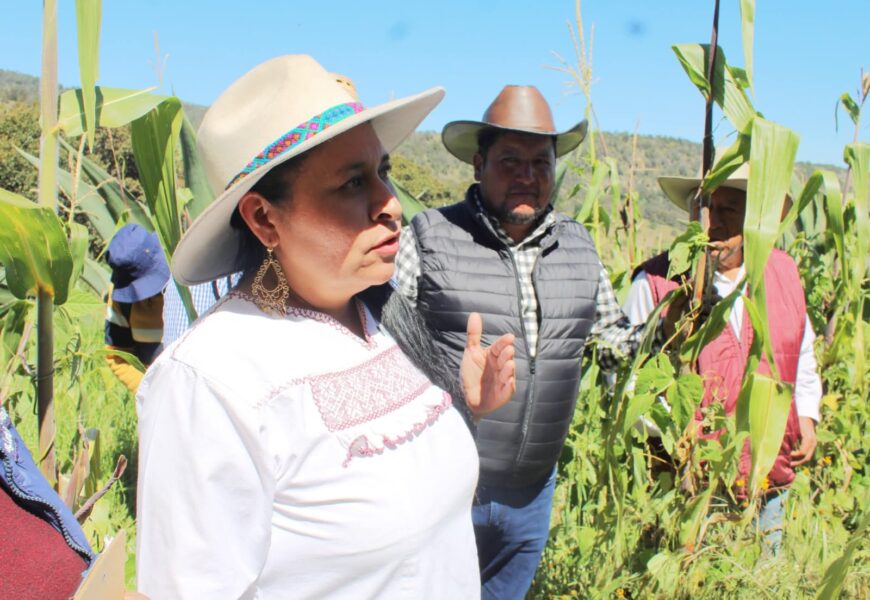Reconocimiento de la FAO al Metepantle Tlaxcalteca se entregará en Roma