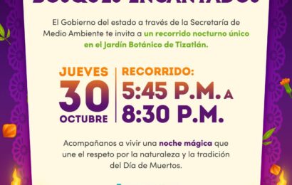 Noches de Ofrenda: Entre Tradición y Bosques Encantados Noches de Ofrenda: Entre Tradición y Bosques Encantados