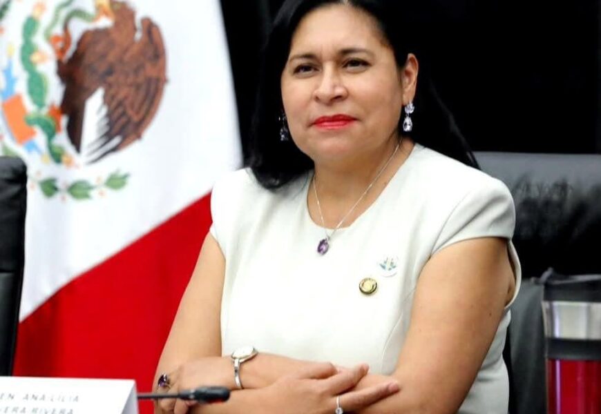 Senadora Ana Lilia Rivera coordinadora del frente parlamentario contra el Hambre Senadora Ana Lilia Rivera coordinadora del frente parlamentario contra el Hambre