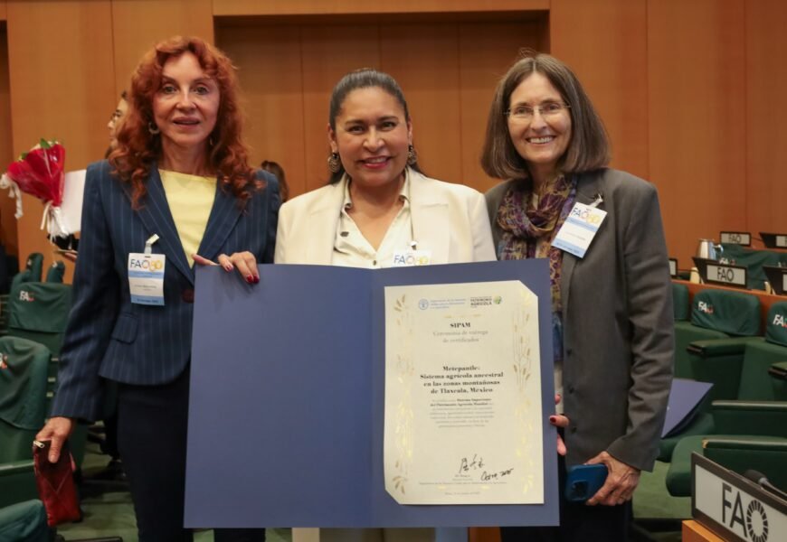 FAO otorga reconocimiento al Metepantle como Patrimonio Agrícola Mundial