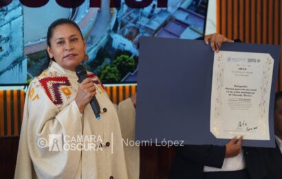 Escuela in situ del Metepantle: un modelo pionero en el mundo Escuela in situ del Metepantle: un modelo pionero en el mundo