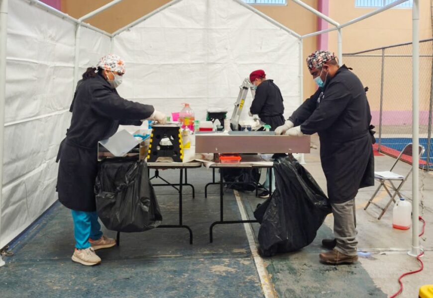 Campaña Gratuita de Esterilización Canina y Felina inicia en Tlaxcala Campaña Gratuita de Esterilización Canina y Felina inicia en Tlaxcala