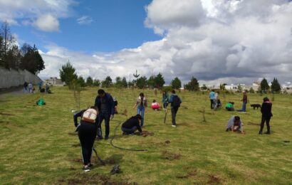 Programa de educación ambiental y reforestación en Apizaco Programa de educación ambiental y reforestación en Apizaco