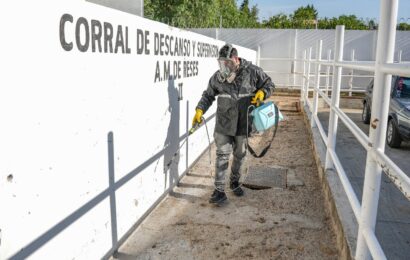 Fumigan el rastro municipal de Tlaxcala Fumigan el rastro municipal de Tlaxcala