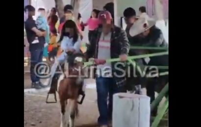 OCPA denuncia maltrato animal en la Feria de Tlaxcala 2025
