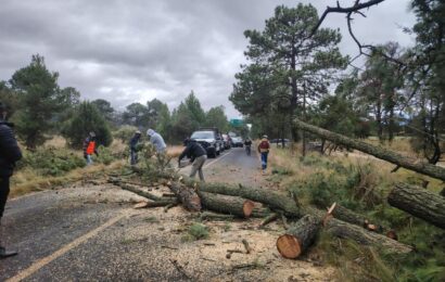 Protección Civil activa acciones preventivas ante frente frío