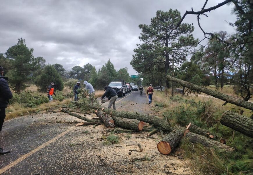 Protección Civil activa acciones preventivas ante frente frío Protección Civil activa acciones preventivas ante frente frío