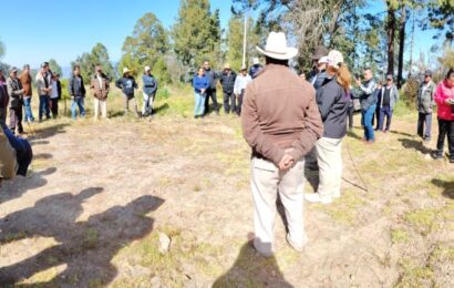 Avanza difusión del apoyo estatal al campo