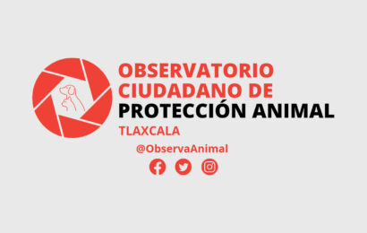 OCPA exige a la fiscalía acción inmediata ante crueldad animal en Tlaxcala