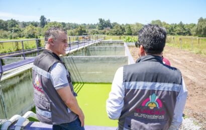 Escuelas Autosustentables transforman planteles en Tlaxcala