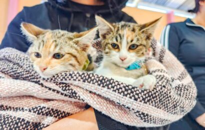 Bienestar animal impulsa feria de adopción en Tlaxcala