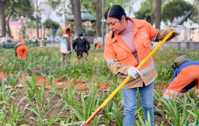 Limpieza del parque central mejora espacios del Centro Histórico