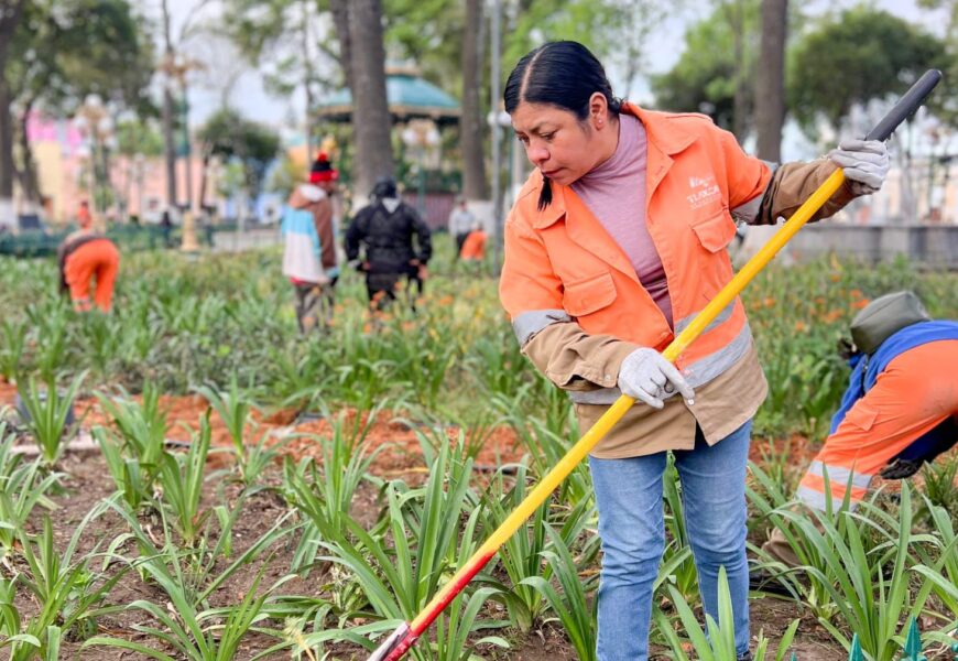 Limpieza del parque central mejora espacios del Centro Histórico
