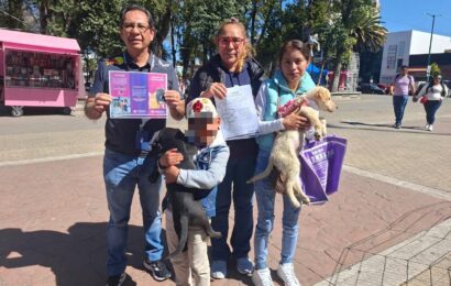Apizaco impulsa adopción con el programa Amigos de 4 Patas Apizaco impulsa adopción con el programa Amigos de 4 Patas