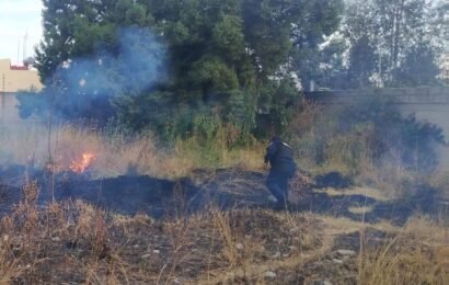 Policías municipales de Tlaxcala sofocan incendio Policías municipales de Tlaxcala sofocan incendio