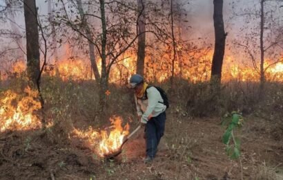 Programa Estatal de Manejo del Fuego refuerza prevención