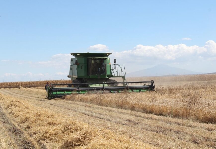 Créditos Individuales Fomtlax fortalecen a productores agrícolas de Tlaxcala