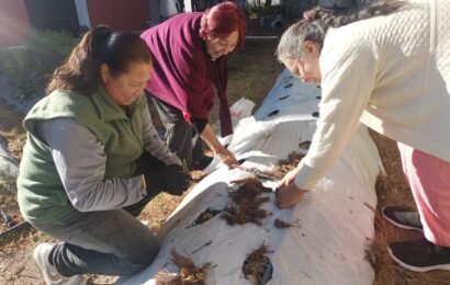 Huertos Familiares en Tlaxcala impulsan el autoempleo Huertos Familiares en Tlaxcala impulsan el autoempleo