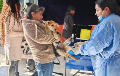 Campaña de Esterilización Gratuita inicia en Tlaxcala Campaña de Esterilización Gratuita inicia en Tlaxcala