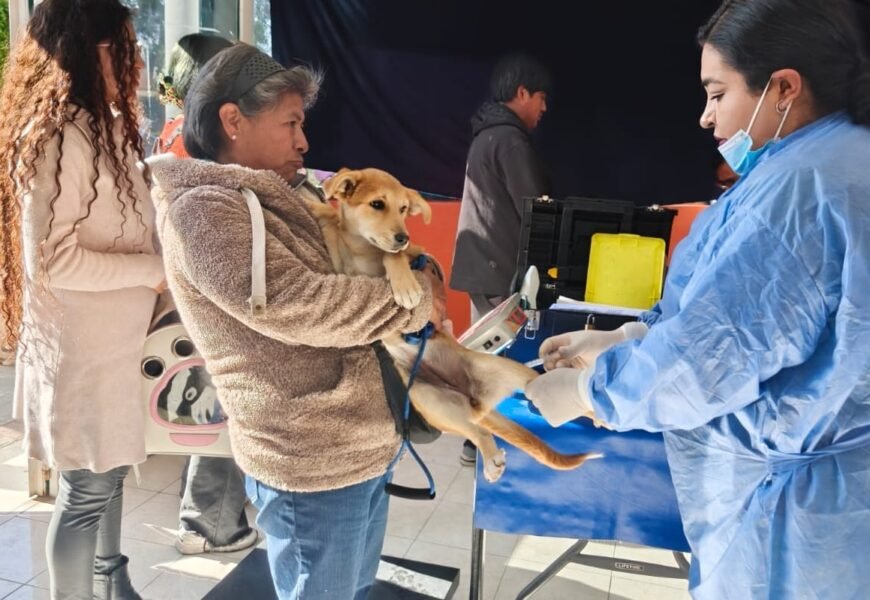 Campaña de Esterilización Gratuita inicia en Tlaxcala Campaña de Esterilización Gratuita inicia en Tlaxcala