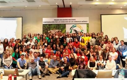 OCPA participa en Encuentro Nacional de Protección Animal de la CODAM