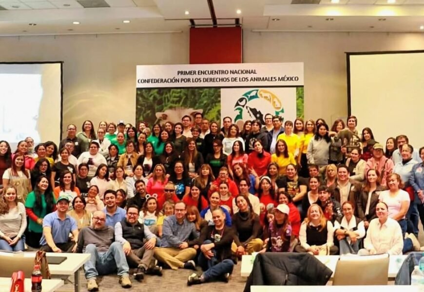 OCPA participa en Encuentro Nacional de Protección Animal de la CODAM OCPA participa en Encuentro Nacional de Protección Animal de la CODAM