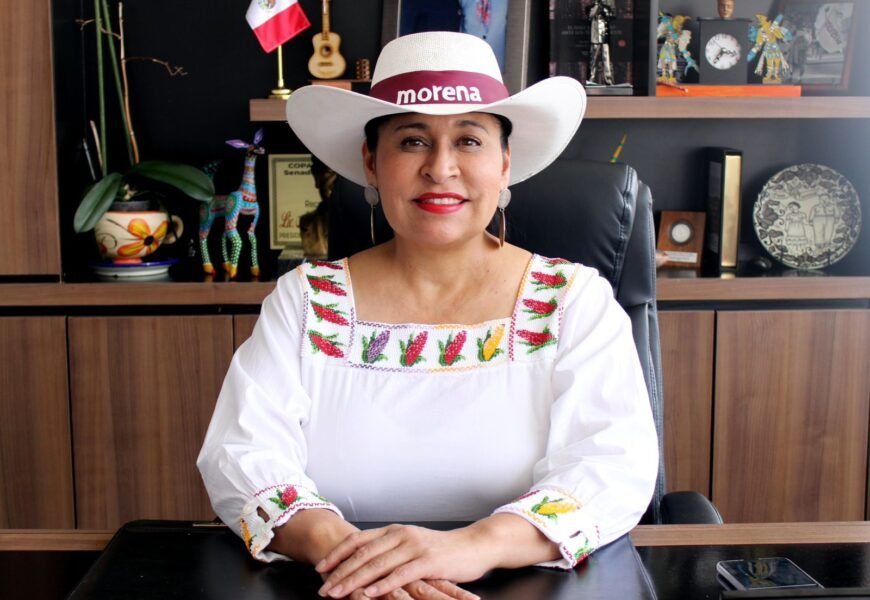 Menos dinero para partidos políticos, más beneficios para la gente : Ana Lilia Rivera