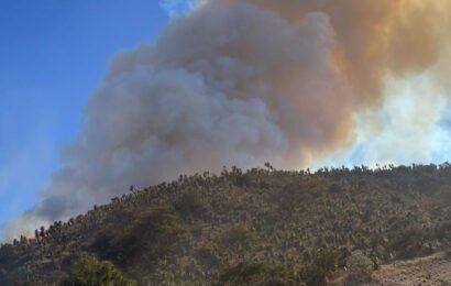 Gobierno del estado se mantiene alerta ante incendio en Puebla