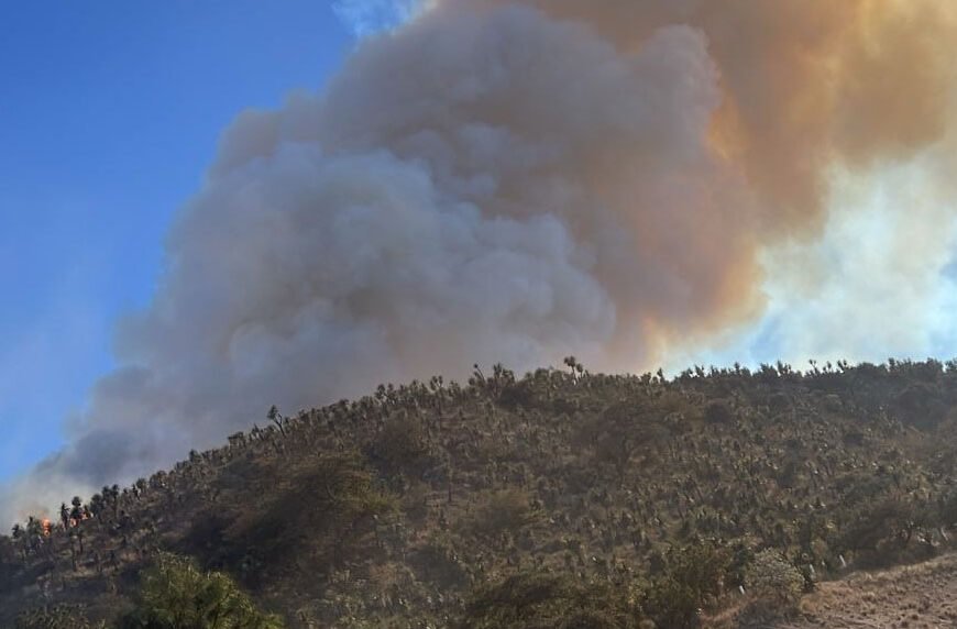 Gobierno del estado se mantiene alerta ante incendio en Puebla Gobierno del estado se mantiene alerta ante incendio en Puebla