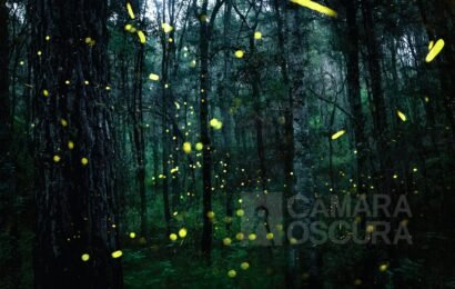 Tlaxcala en Lo Mejor de México 2026 compite con gastronomía, rutas y naturaleza