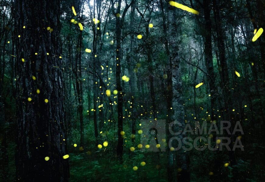 Tlaxcala en Lo Mejor de México 2026 compite con gastronomía, rutas y naturaleza